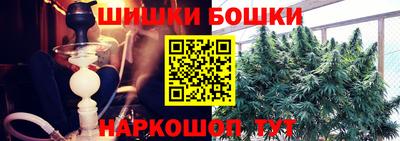 apvp Краснодар