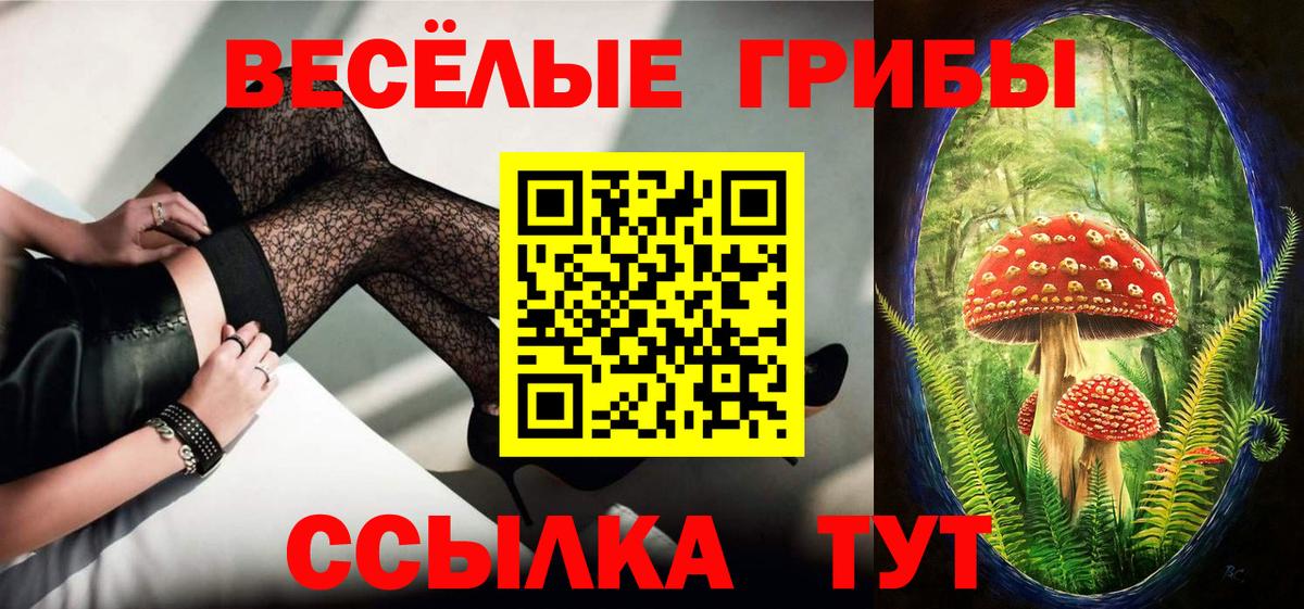 Галлюциногенные грибы MAGIC MUSHROOMS Кимовск