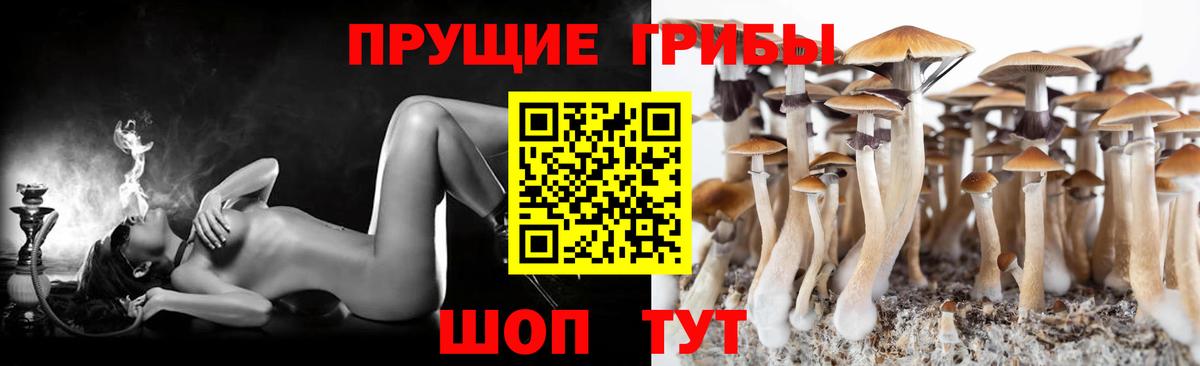 Кимовск  Псилоцибиновые грибы мухоморы  Вход с VPN 